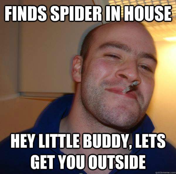 finds spider in house hey little buddy lets get you outside - Good Guy Greg 