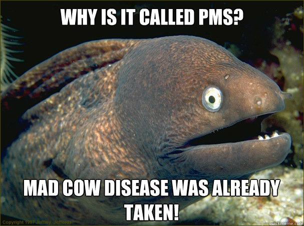 why is it called pms mad cow disease was already taken - Bad Joke Eel
