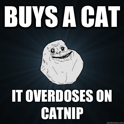 buys a cat - Forever Alone