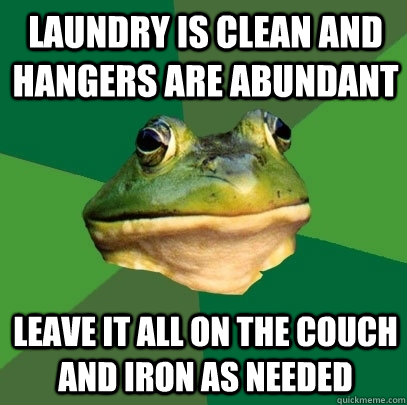 laundry is clean and hangers are abundant leave it all on th - Foul Bachelor Frog