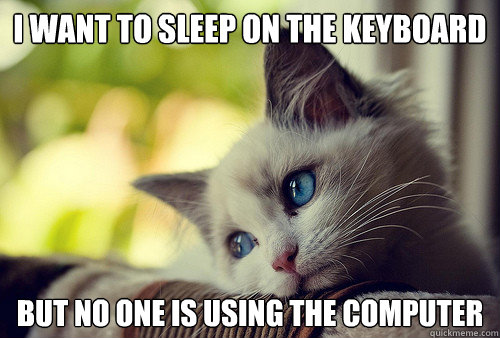 i want to sleep on the keyboard but no one is using the comp - First World Cat Problems