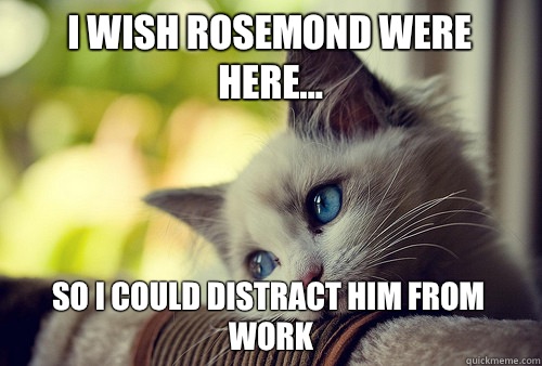 I wish rosemond were here so I could distract him from work - First World Problems Cat