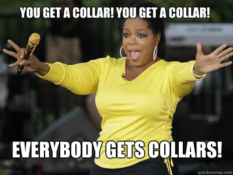 you get a collar you get a collar everybody gets collars - Oprah Loves Ham