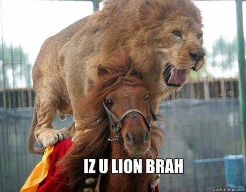 U Lion