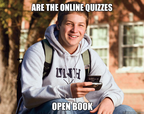are the online quizzes open book - College Freshman