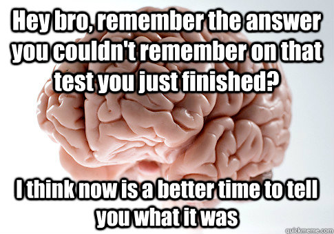 hey bro remember the answer you couldnt remember on that t - Scumbag Brain