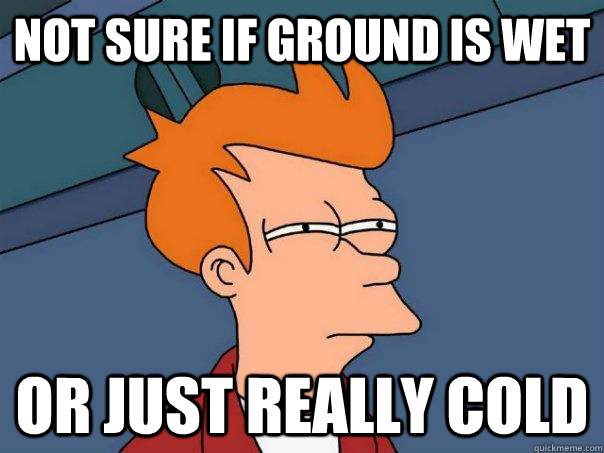 not sure if ground is wet or just really cold - Futurama Fry