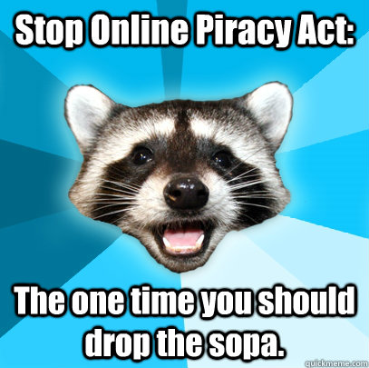 stop online piracy act the one time you should drop the sop - Lame Pun Coon