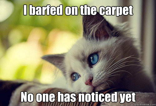 i barfed on the carpet no one has noticed yet - First World Problems Cat