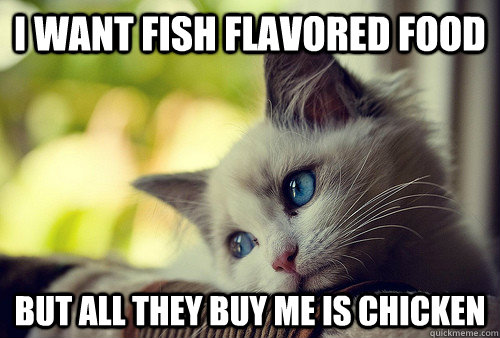 i want fish flavored food but all they buy me is chicken - First World Problems Cat