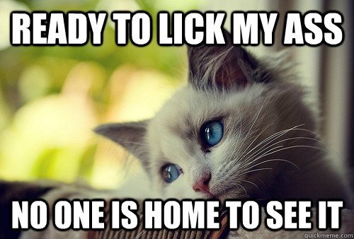 ready to lick my ass no one is home to see it First World Problems Cat