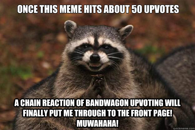 once this meme hits about 50 upvotes a chain reaction of ban - Evil Plotting Raccoon