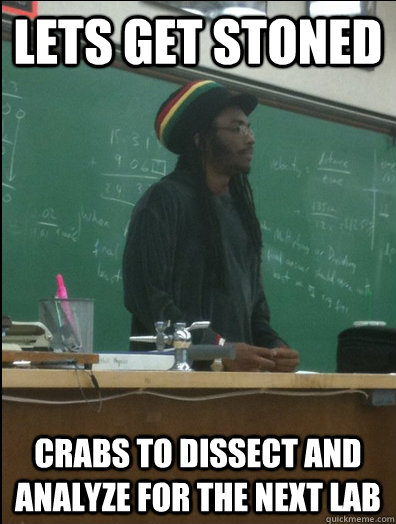 Stoned Teacher