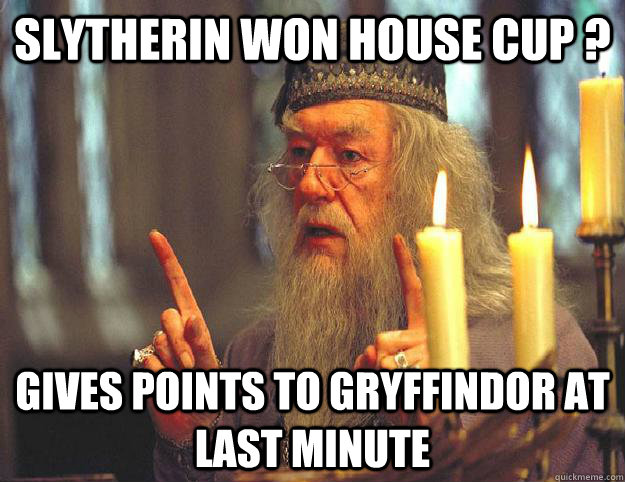 gryffindor wins the house cup!