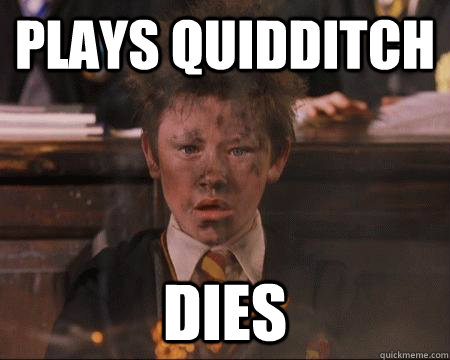 plays quidditch dies - Hogwarts Freshman