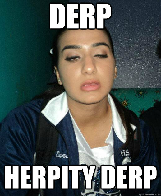 Herpity Derp