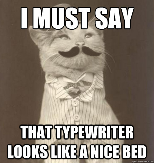 i must say that typewriter looks like a nice bed - Original Business Cat