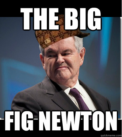 fig newton guy