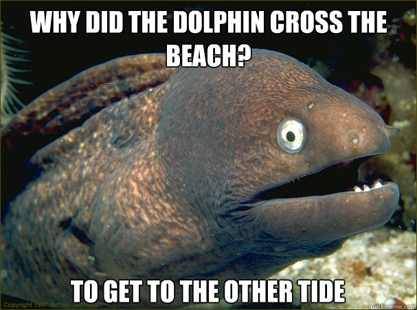 why did the dolphin cross the beach to get to the other tid - Bad Joke Eel