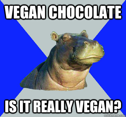 vegan chocolate is it really vegan - Skeptical Hippo