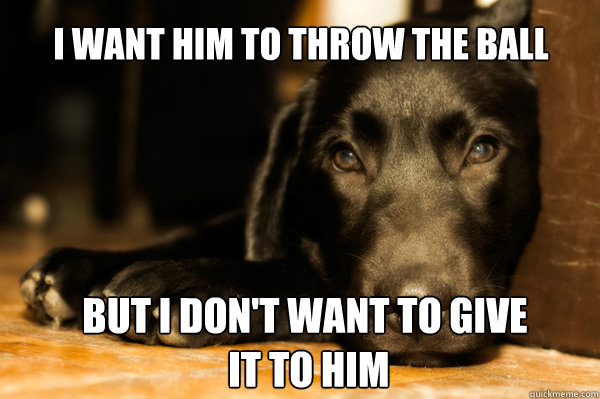 i want him to throw the ball but i dont want to give it to - First World Dog Problems