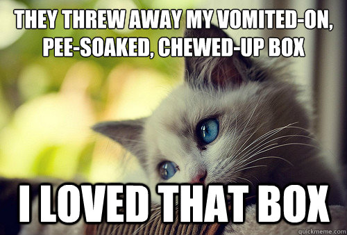 they threw away my vomitedon peesoaked chewedup box i - First World Problems Cat