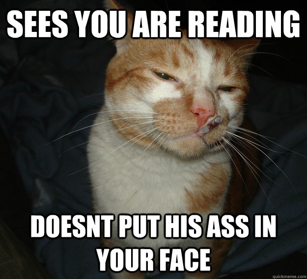 sees you are reading doesnt put his ass in your face - Cool Cat Craig