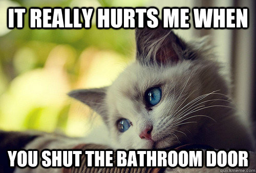 it really hurts me when you shut the bathroom door - First World Problems Cat