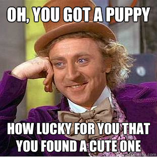 oh you got a puppy how lucky for you that you found a cute - Creepy Wonka