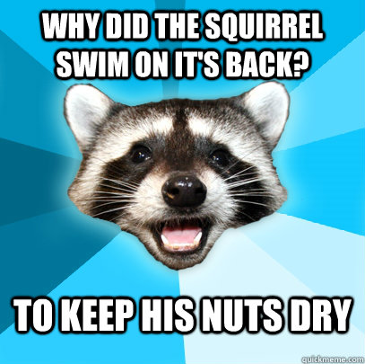 Squirrel Coon