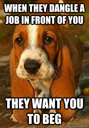 when they dangle a job in front of you they want you to beg - Unemployable Basset Hound Puppy