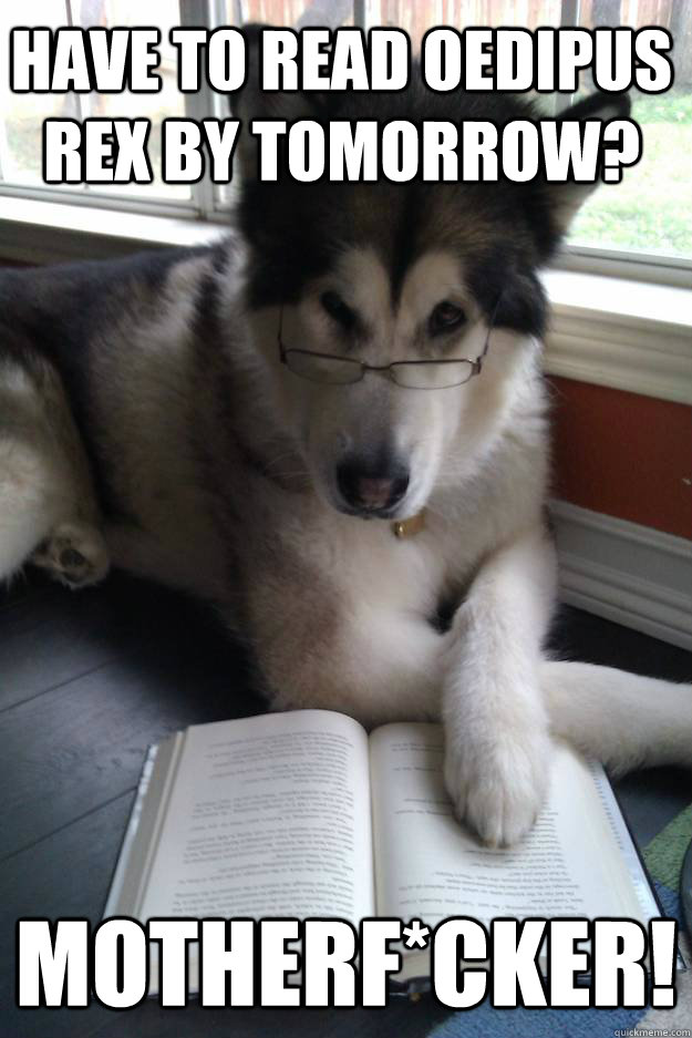 have to read oedipus rex by tomorrow motherfcker - Condescending Literary Pun Dog