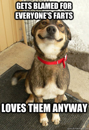 gets blamed for everyones farts loves them anyway - Good Dog Greg