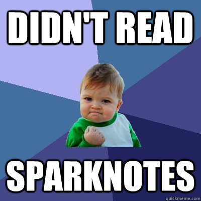 didnt read sparknotes - Success Kid