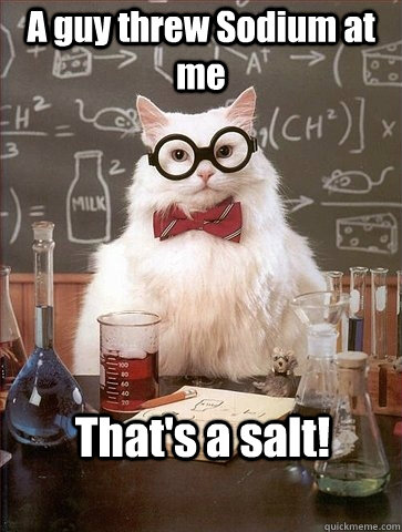 a guy threw sodium at me thats a salt - Chemistry Cat