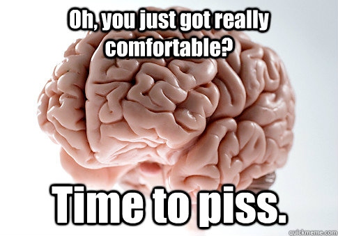 oh you just got really comfortable time to piss - Scumbag Brain