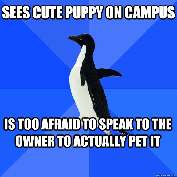 sees cute puppy on campus is too afraid to speak to the owne - Socially Awkward Penguin