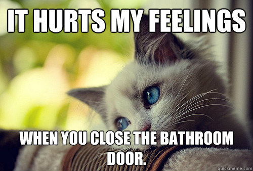 it hurts my feelings when you close the bathroom door - First World Cat Problems