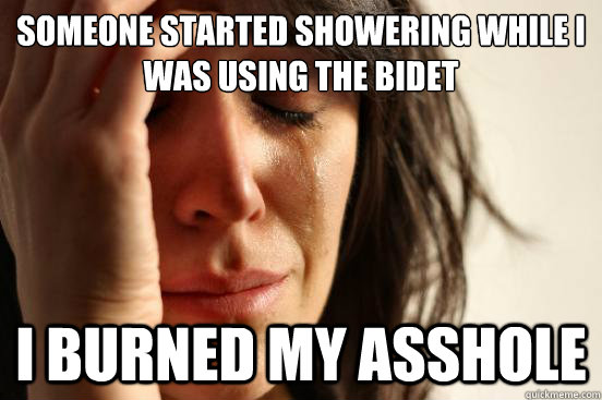 someone started showering while i was using the bidet i burn - First World Problems