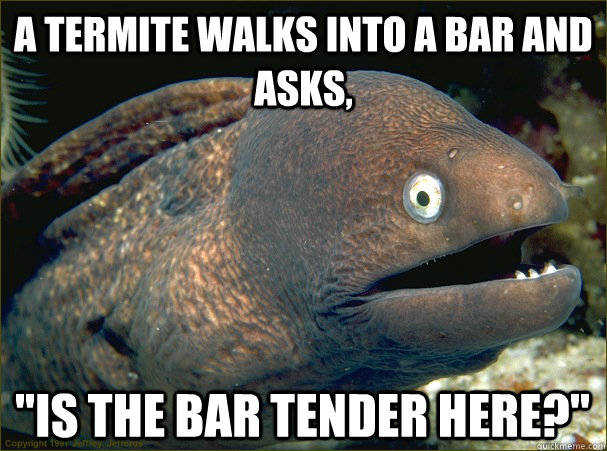 a termite walks into a bar and asks is the bar tender here - Bad Joke Eel