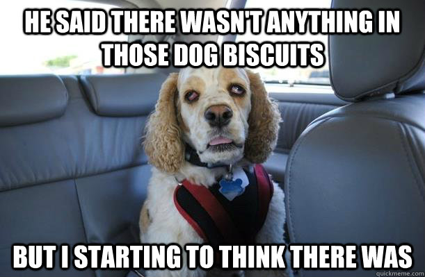 he said there wasnt anything in those dog biscuits but i s - 10 Dog