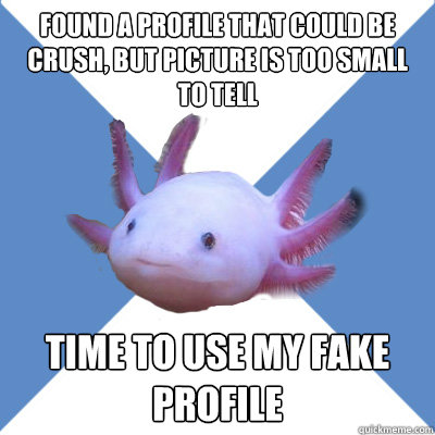 found a profile that could be crush but picture is too smal - Facebook Stalker Axolotl