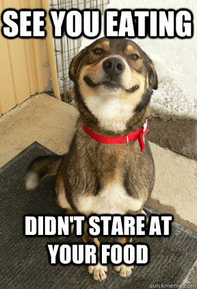 see you eating didnt stare at your food - Good Dog Greg