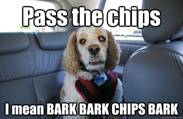 pass the chips i mean bark bark chips bark - 10 Dog