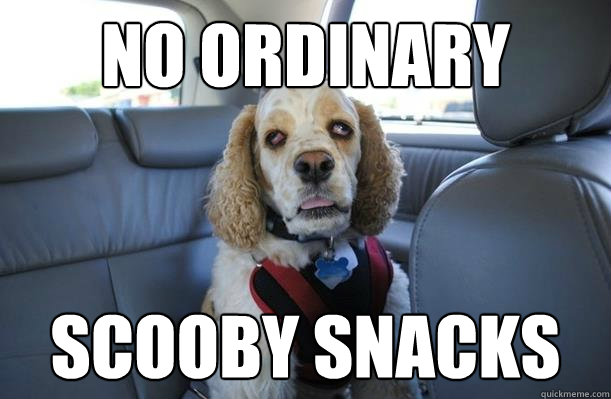 no ordinary scooby snacks - 10 Dog