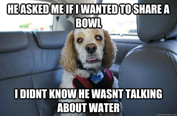 he asked me if i wanted to share a bowl i didnt know he wasn - 10 Dog