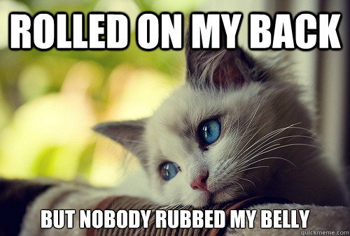 rolled on my back but nobody rubbed my belly - First World Cat Problems