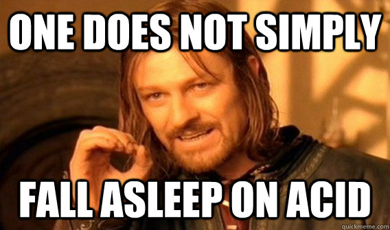 one does not simply fall asleep on acid - One does not simply beat skyrim
