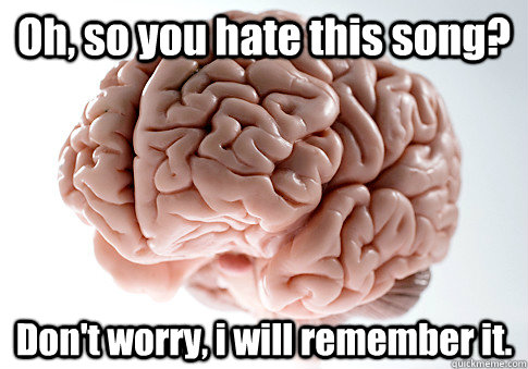 oh so you hate this song dont worry i will remember it - Scumbag Brain