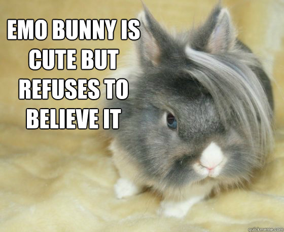 Emo Bunny Twitter